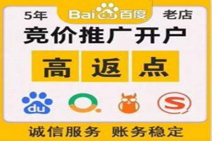 百度竞价推广公司成功经验分享：广告投放的技巧与策略